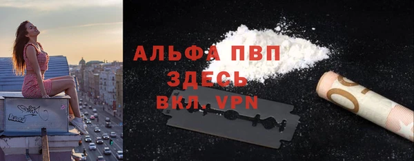 соль ск Новодвинск