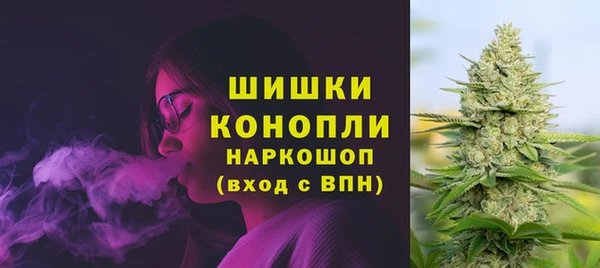 ECSTASY Новозыбков