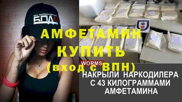 соль ск Новодвинск