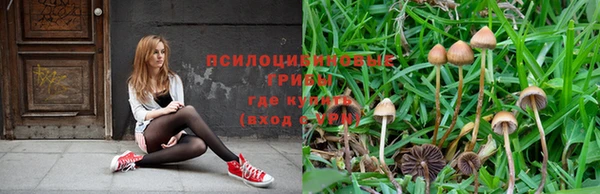 ECSTASY Новозыбков