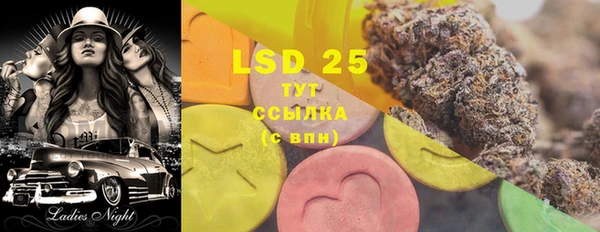 соль ск Новодвинск
