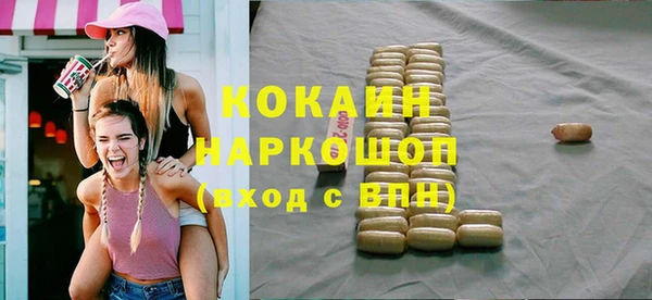 соль ск Новодвинск