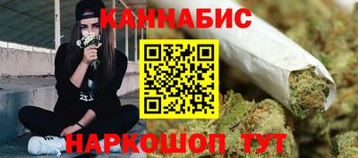 сатива Моздок