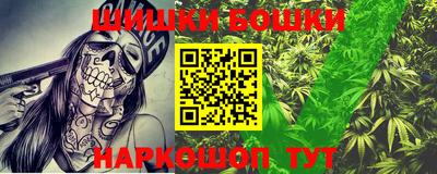 сатива Моздок