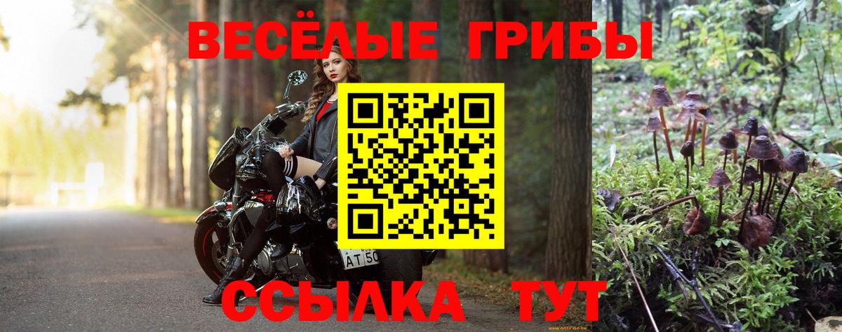Галлюциногенные грибы Magic Shrooms Обнинск